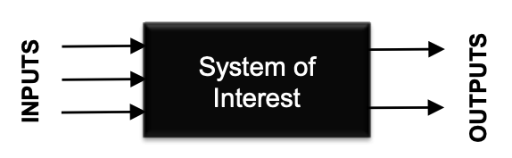 black box system